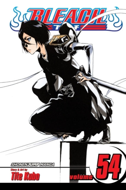 Omslag: Bleach, Vol. 54