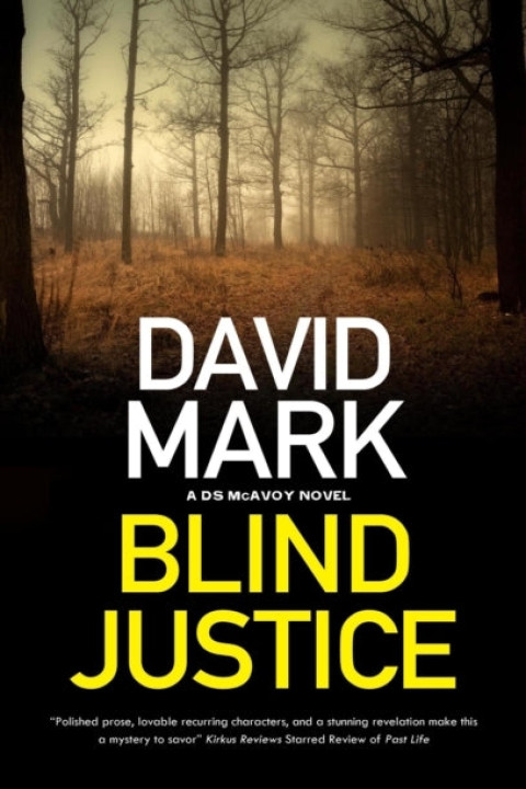 Omslag: Blind Justice