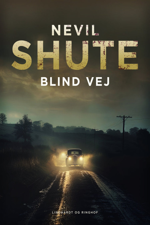 Omslag: Blind vej