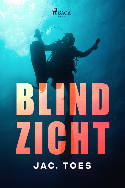 Omslag: Blind zicht