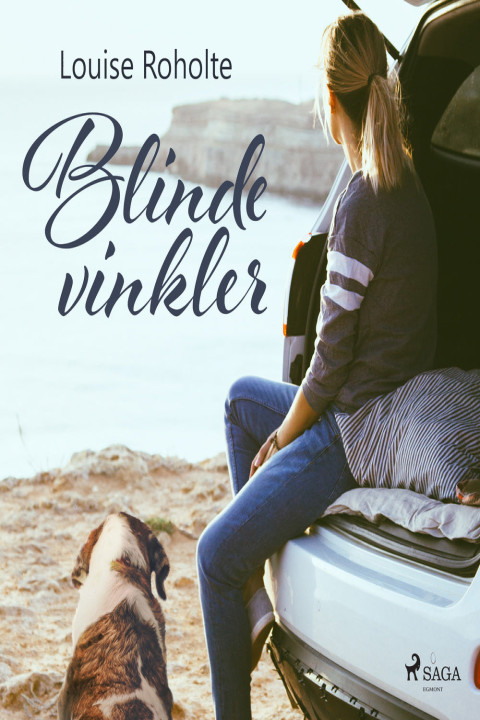 Omslag: Blinde vinkler