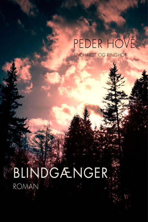 Omslag: Blindgænger
