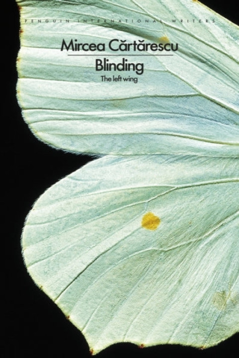 Omslag: Blinding