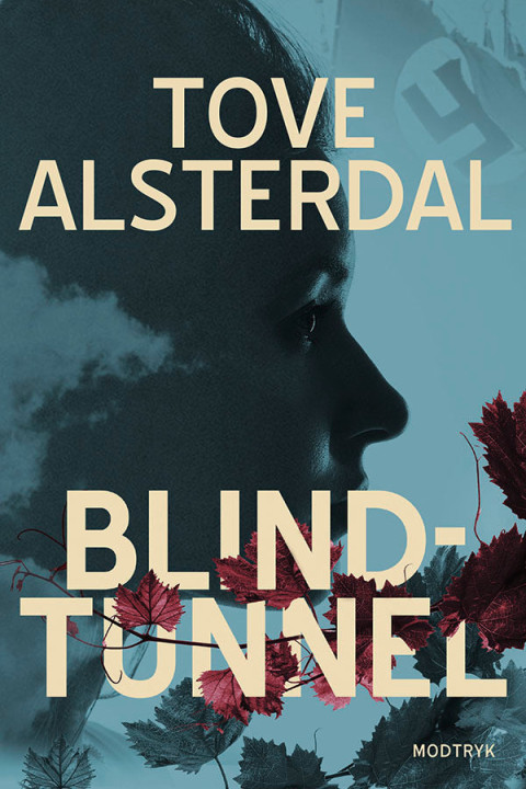 Omslag: Blindtunnel