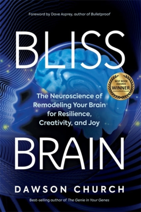 Omslag: Bliss Brain