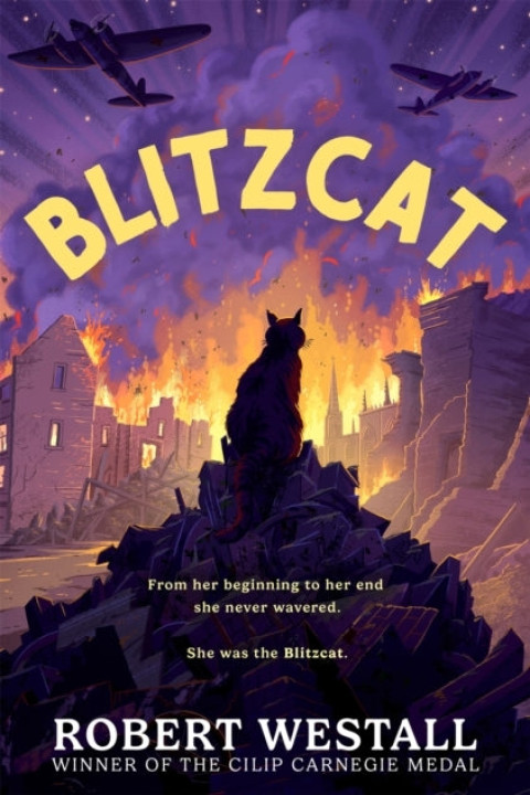 Omslag: Blitzcat
