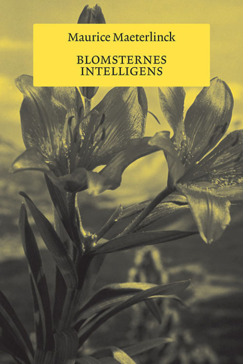 Omslag: Blomsternes intelligens