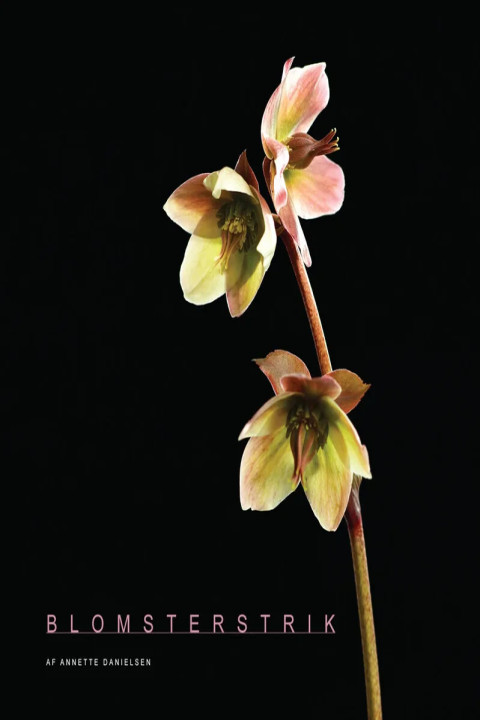 Omslag: Blomsterstrik