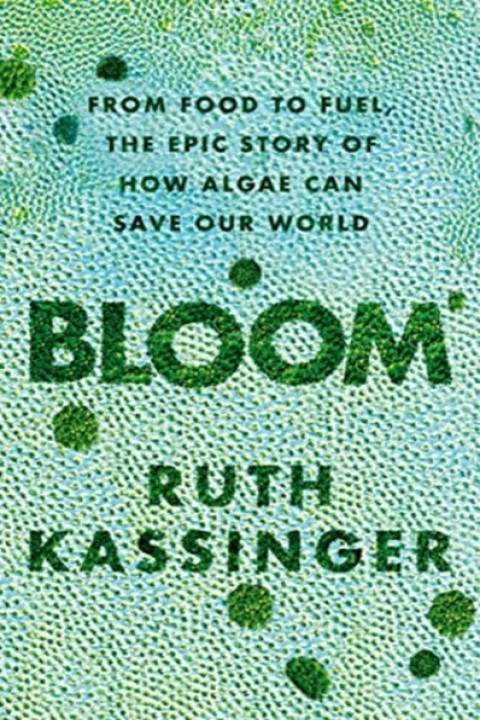 Omslag: Bloom