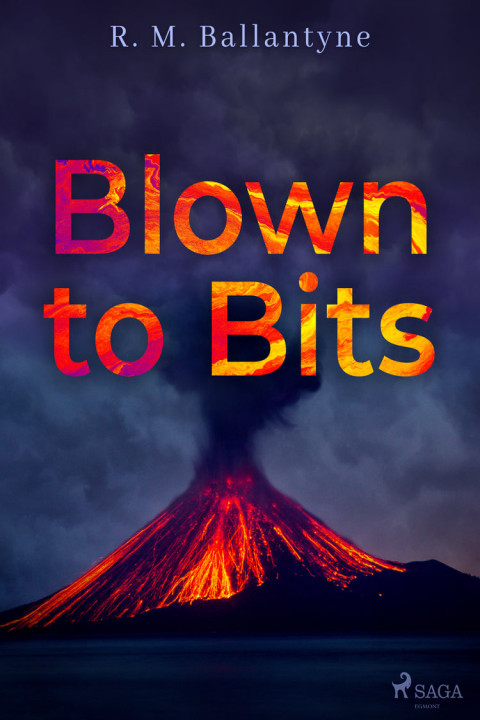 Omslag: Blown to Bits