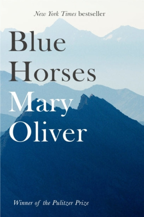 Omslag: Blue Horses