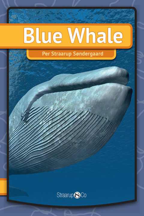 Omslag: Blue Whale
