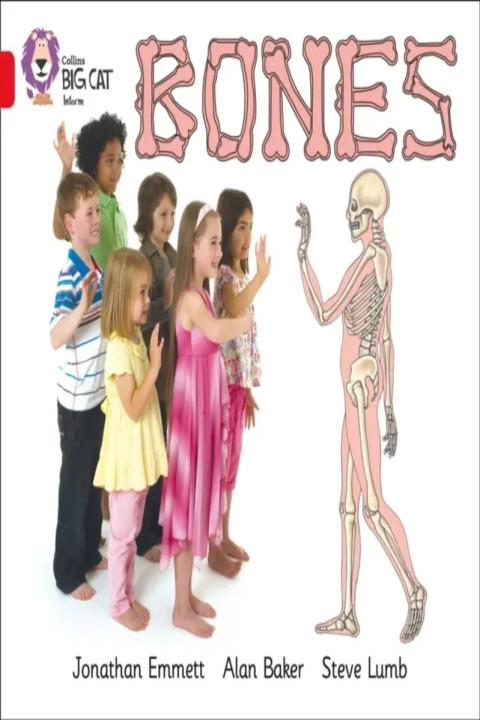 Omslag: Bones - Band 02b Red B