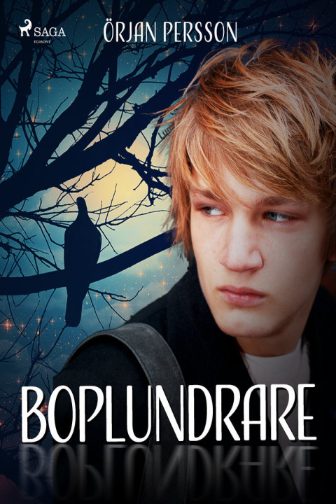 Omslag: Boplundrare