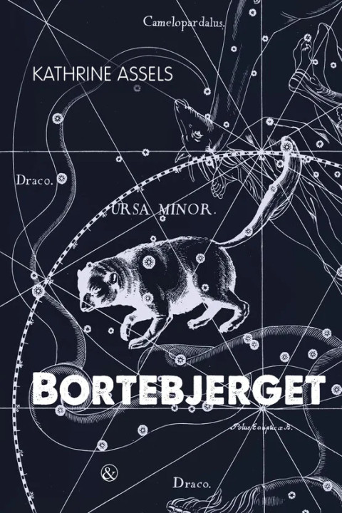 Omslag: Bortebjerget
