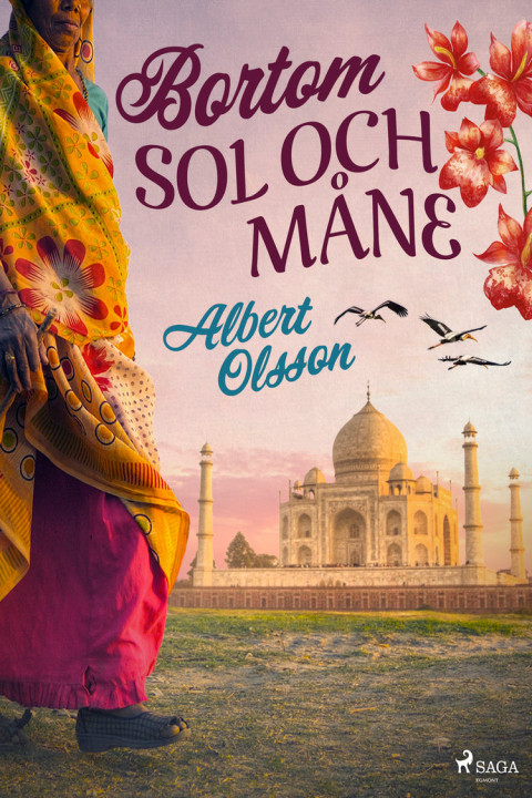 Omslag: Bortom sol och måne