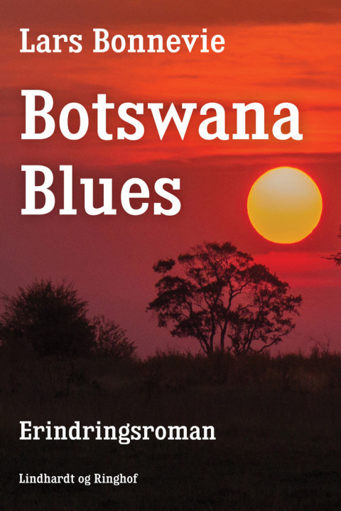 Omslag: Botswana blues