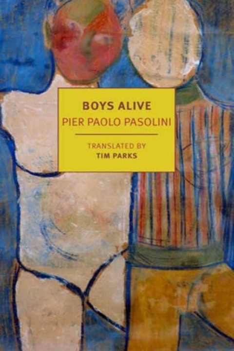 Omslag: Boys Alive