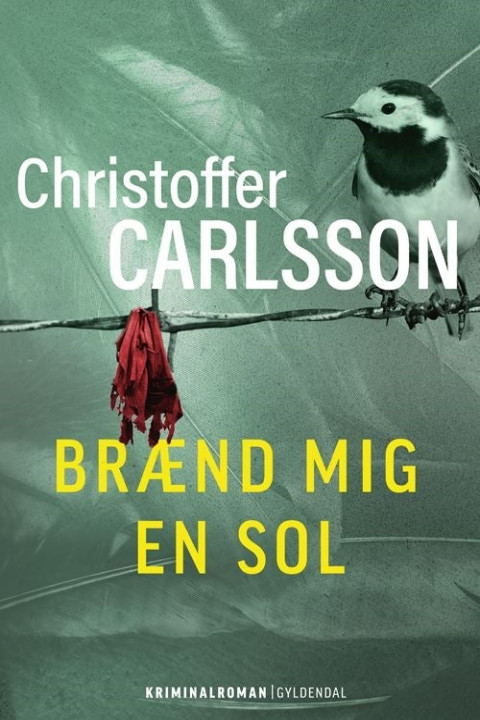 Omslag: Brænd mig en sol
