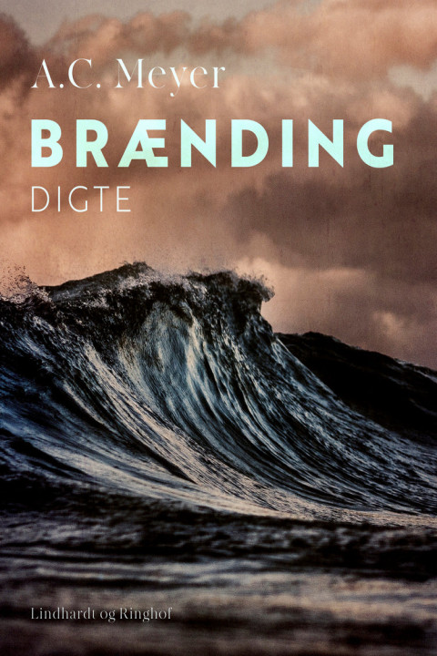 Omslag: Brænding. Digte