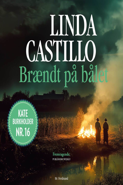 Omslag: Brændt på bålet