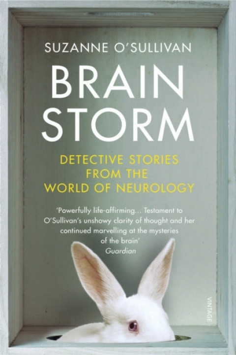 Omslag: Brainstorm