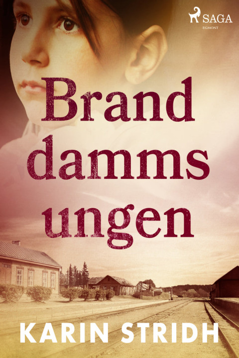 Omslag: Branddammsungen