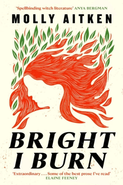 Omslag: Bright I Burn
