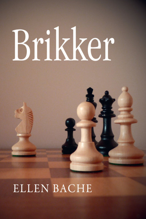 Omslag: Brikker