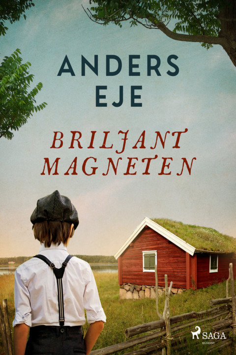 Omslag: Briljantmagneten