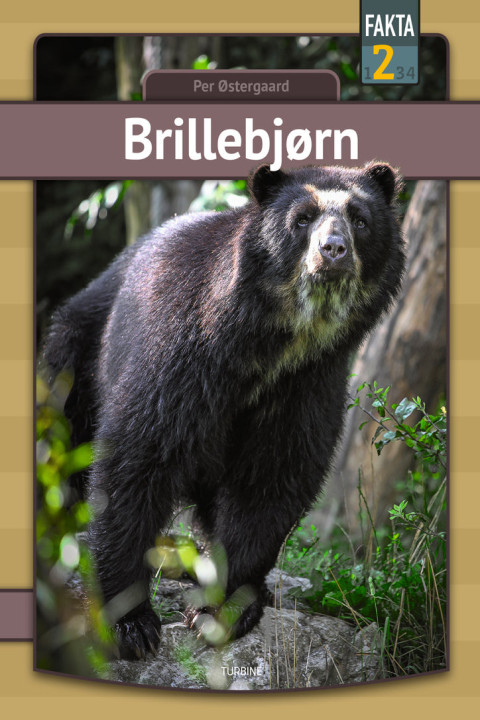 Omslag: Brillebjørn