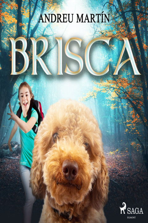 Omslag: Brisca
