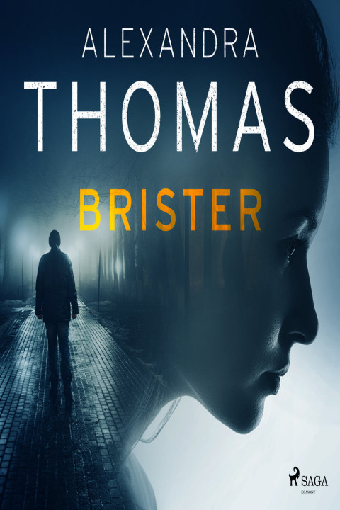 Omslag: Brister