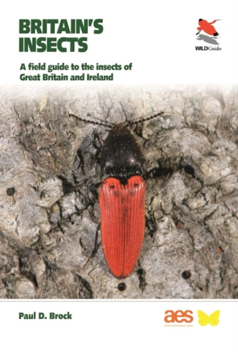 Omslag: Britain s Insects