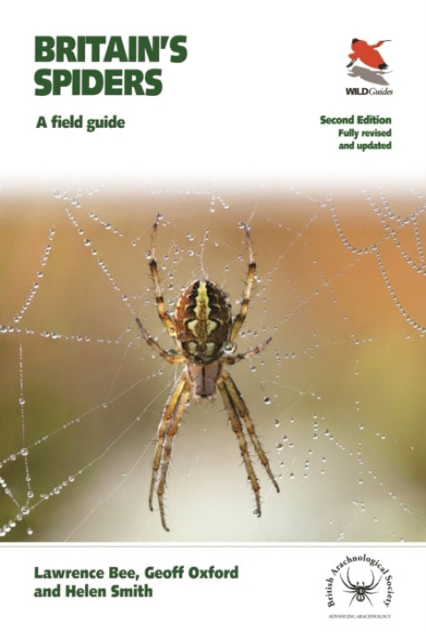 Omslag: Britain s Spiders