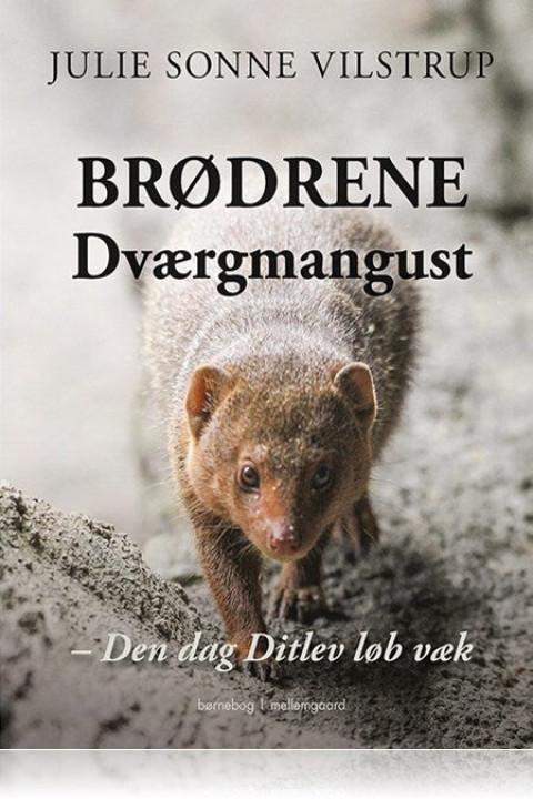 Omslag: Brødrene Dværgmangust