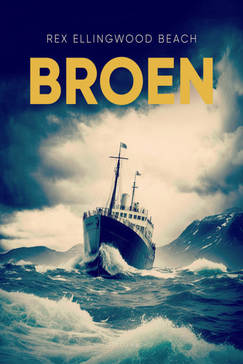 Omslag: Broen