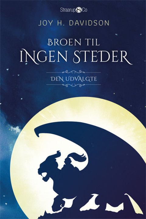 Omslag: Broen til Ingen Steder