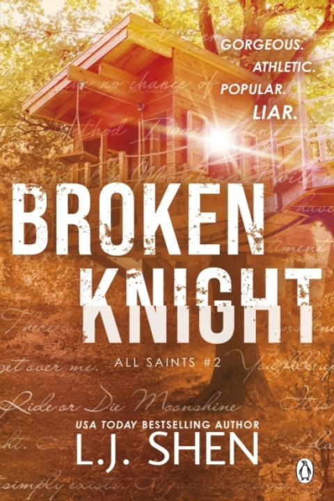 Omslag: Broken Knight