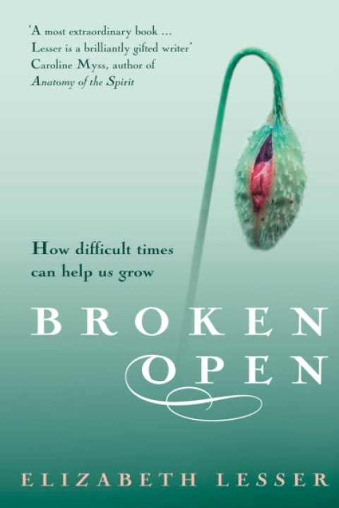 Omslag: Broken Open
