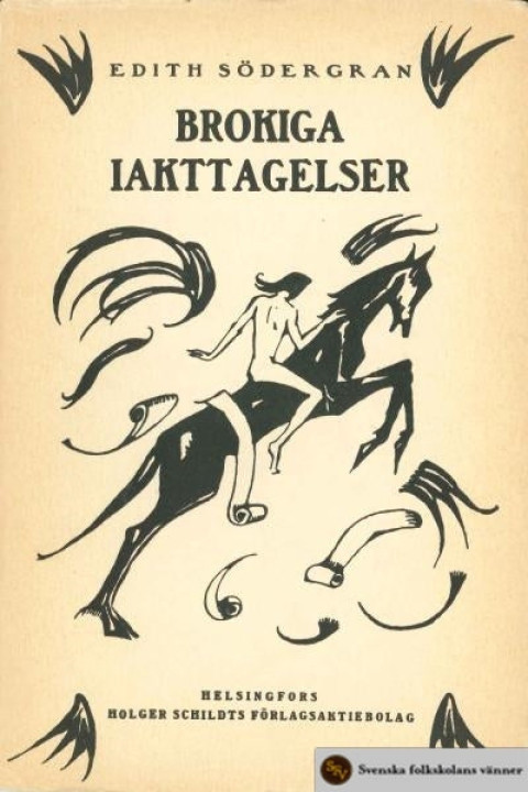 Omslag: Brokiga iakttagelser