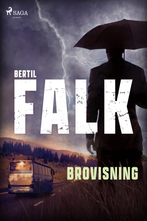 Omslag: Brovisning