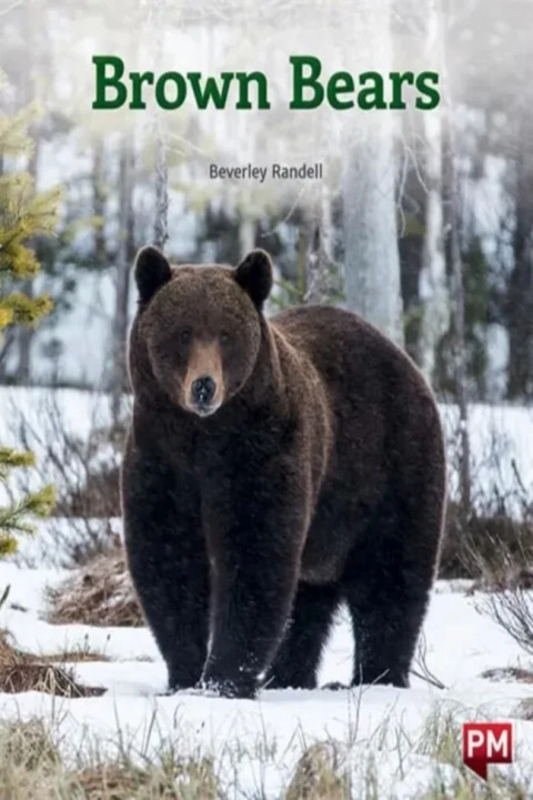 Omslag: BROWN BEARS