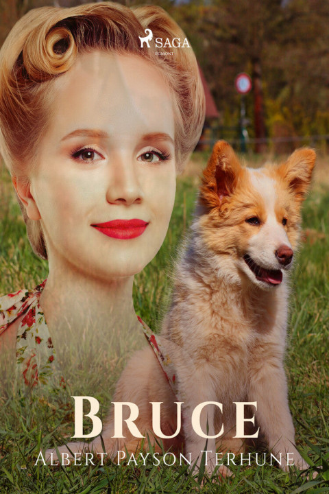 Omslag: Bruce