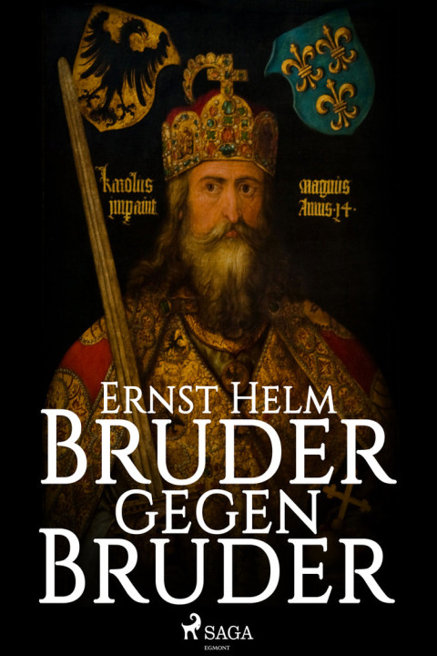 Omslag: Bruder gegen Bruder
