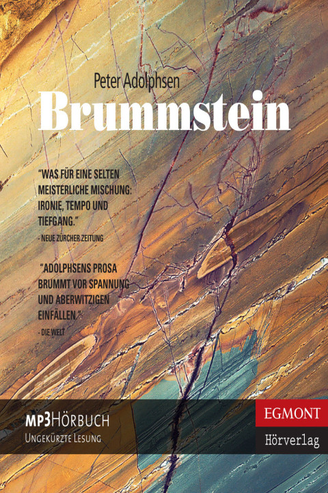 Omslag: Brummstein