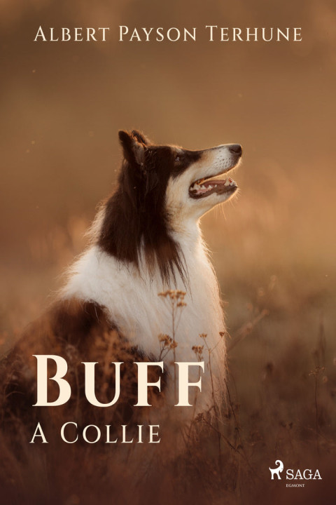 Omslag: Buff: A Collie