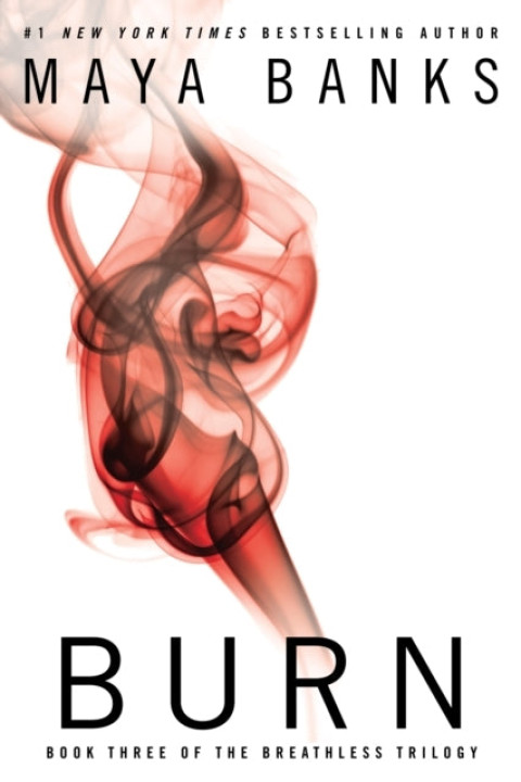 Omslag: Burn