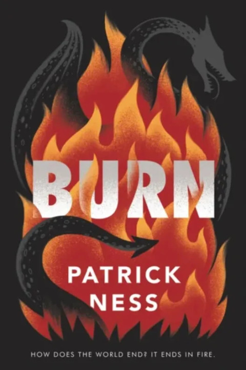 Omslag: Burn