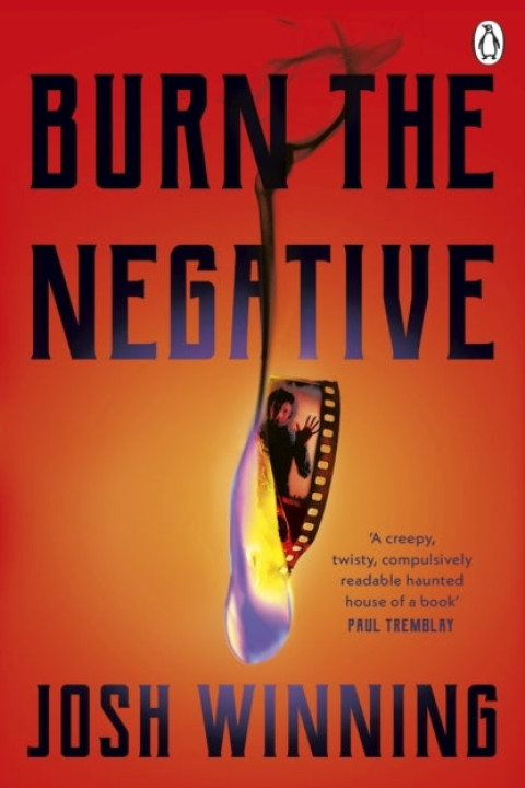 Omslag: Burn the Negative